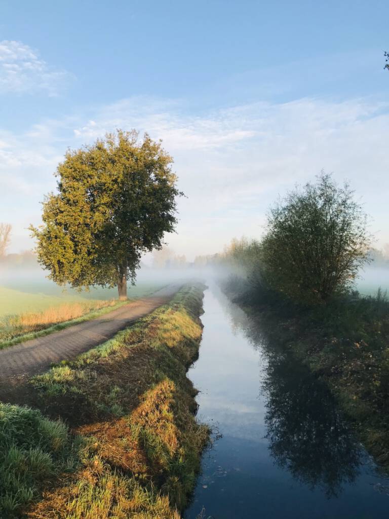 Über das biographische Schreiben